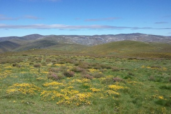 Malestar por la invasión de motos y quads en los montes de Vilariño de Conso