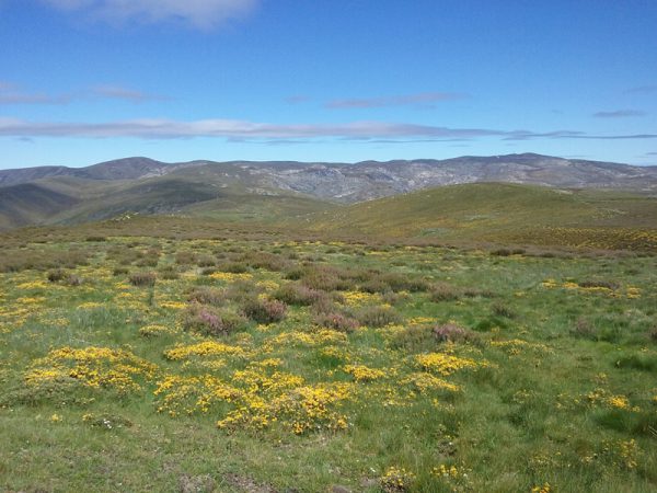 Malestar por la invasión de motos y quads en los montes de Vilariño de Conso