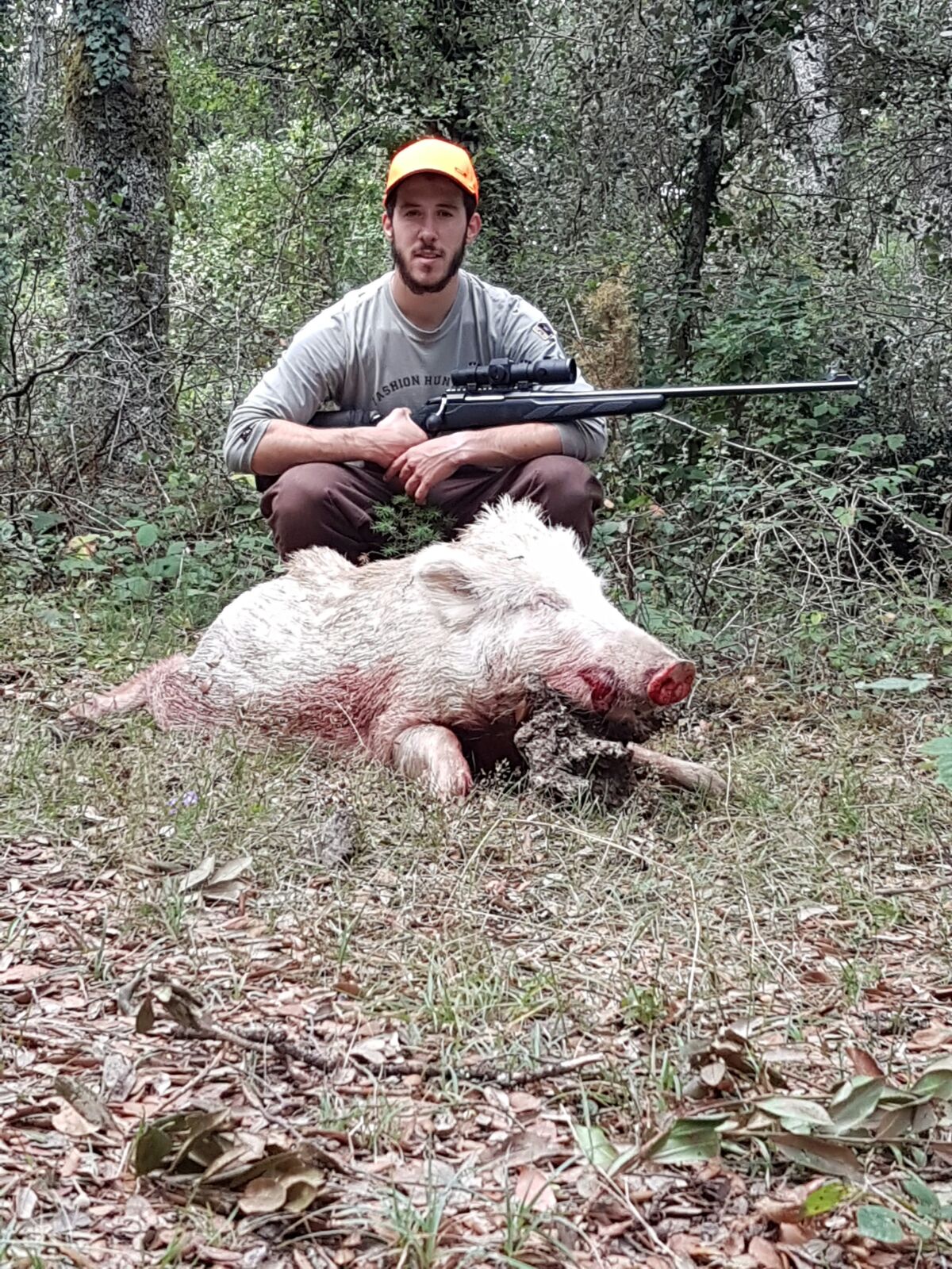 Capturan una jabalina totalmente blanca en Alava