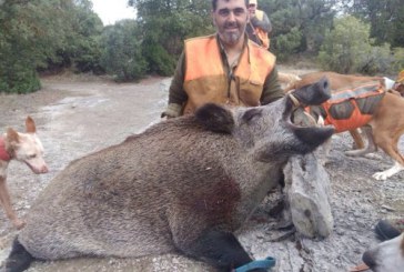 Jabalí de casi 140 kg capturado en Sierra de Badaia