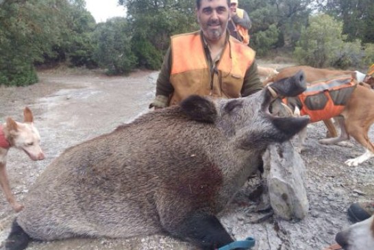 Jabalí de casi 140 kg capturado en Sierra de Badaia