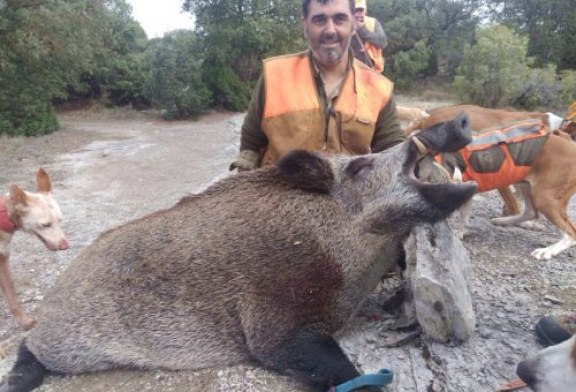 Jabalí de casi 140 kg capturado en Sierra de Badaia