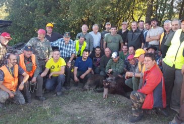 En Araba, buena racha de jabalíes