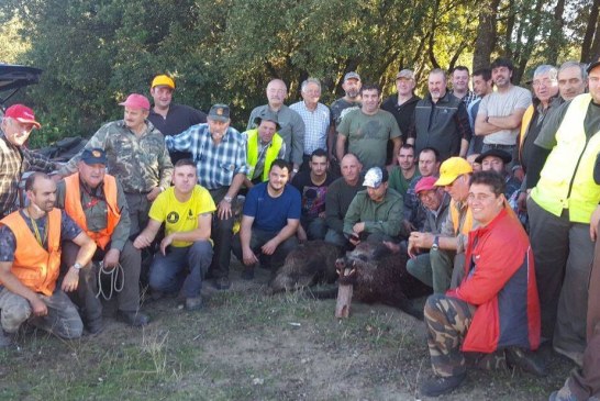 En Araba, buena racha de jabalíes