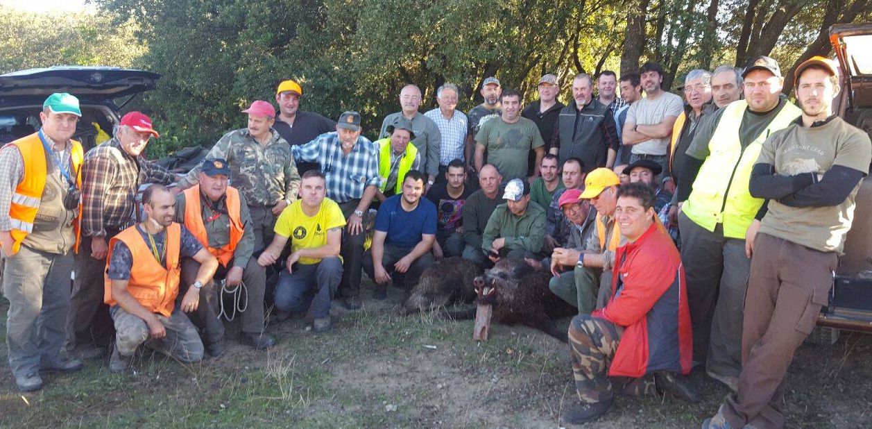 En Araba, buena racha de jabalíes