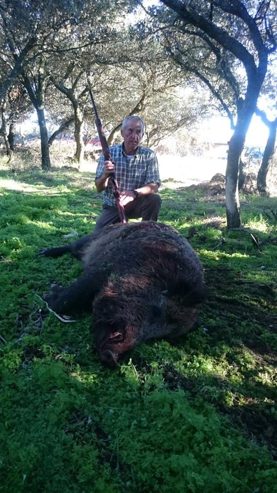 En Navarra capturan un increíble jabalí de 150 kgs