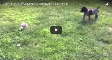 ¡INICIANDO JÓVENES PROMESAS DE LA CAZA!