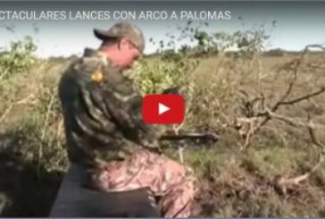 ESPECTACULARES LANCES CON ARCO A PALOMAS