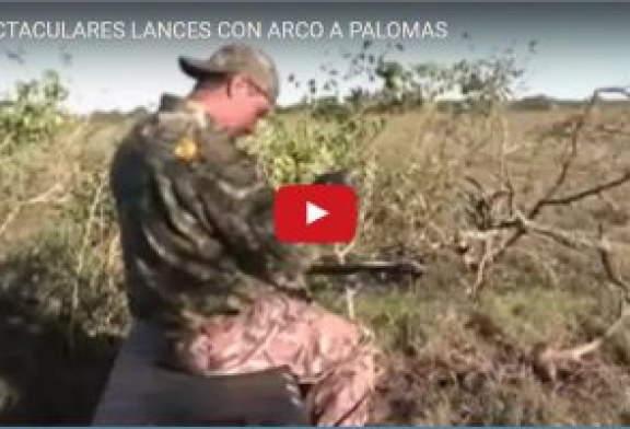 ESPECTACULARES LANCES CON ARCO A PALOMAS