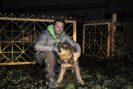 «Fue arriesgado, pero cuando quieres a un perro sólo piensas en ponerlo a salvo»