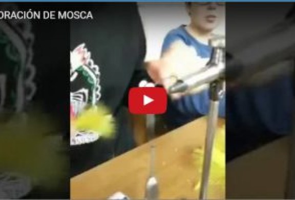 ELABORACIÓN DE MOSCA