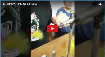 ELABORACIÓN DE MOSCA