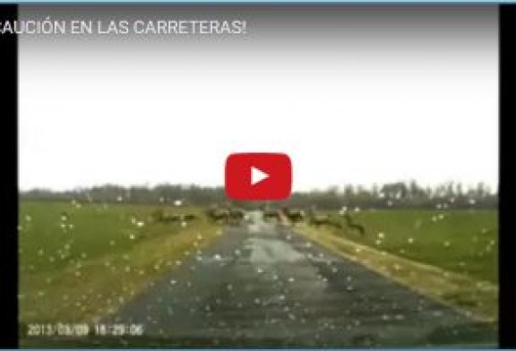 ¡PRECAUCIÓN EN LAS CARRETERAS!