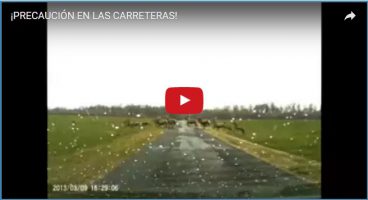 ¡PRECAUCIÓN EN LAS CARRETERAS!