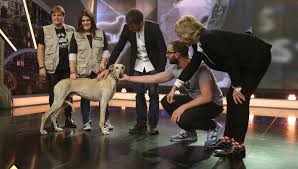 EL HORMIGUERO VUELVE A METER LA PATA