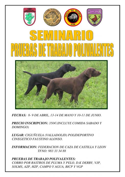 SEMINARIO PRUEBAS DE TRABAJO POLIVALENTES