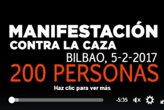 VIDEO DE ADECAPGAZTEAK SOBRE LA MANIFESTACIÓN ANTI CAZA DE EL PASADO DOMINGO