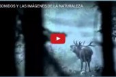 LOS SONIDOS Y LAS IMÁGENES DE LA NATURALEZA