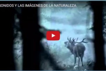 LOS SONIDOS Y LAS IMÁGENES DE LA NATURALEZA