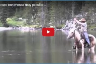 Una pesca con mosca muy peculiar…