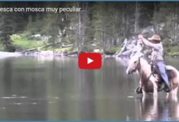 Una pesca con mosca muy peculiar…