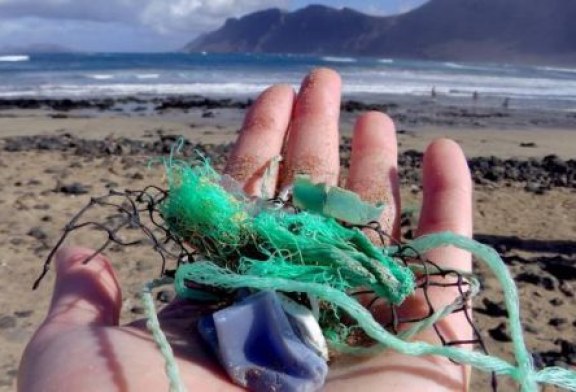 Bilbao, Bermeo, Getaria y Pasaia acogen una campaña de sensibilización sobre basuras marinas