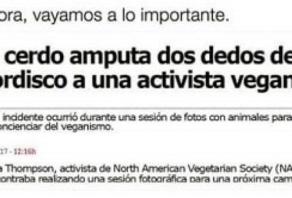 ¡Bienvenid@s a la realidad señores y señoras veganas! Los cerdos también comen carne