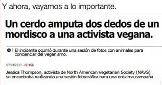 ¡Bienvenid@s a la realidad señores y señoras veganas! Los cerdos también comen carne