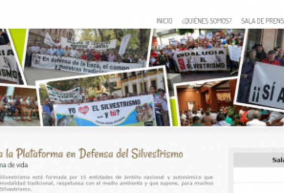 La Plataforma en Defensa del Silvestrismo estrena web