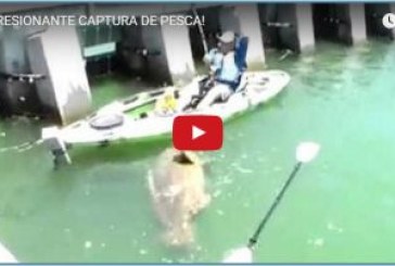 ¡IMPRESIONANTE CAPTURA DE PESCA!