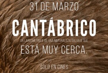 Preestreno en Cantabria: «Cantábrico. Los dominios del oso pardo»