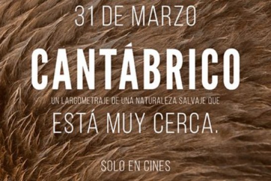Preestreno en Cantabria: «Cantábrico. Los dominios del oso pardo»