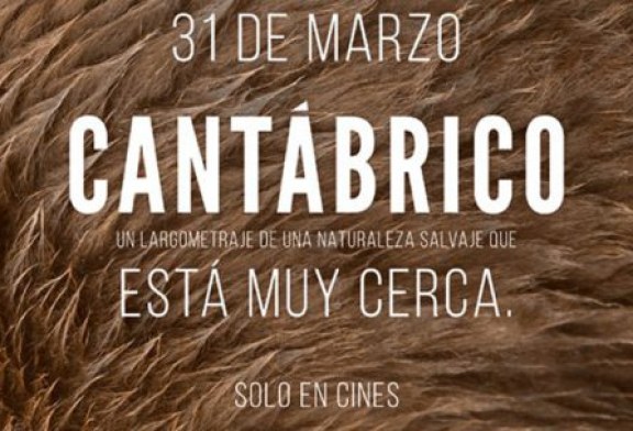 Preestreno en Cantabria: «Cantábrico. Los dominios del oso pardo»