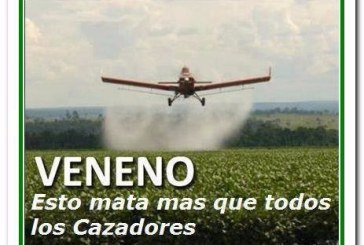 Naciones Unidas arremete contra la industria de los pesticidas y sus efectos sobre la fauna y las personas