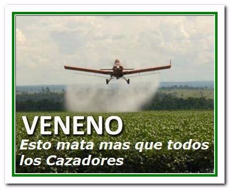 Naciones Unidas arremete contra la industria de los pesticidas y sus efectos sobre la fauna y las personas