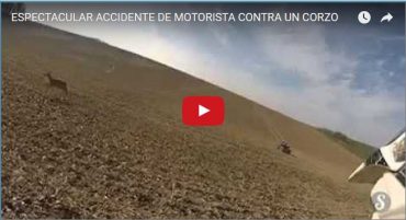 ESPECTACULAR ACCIDENTE DE MOTORISTA CONTRA UN CORZO