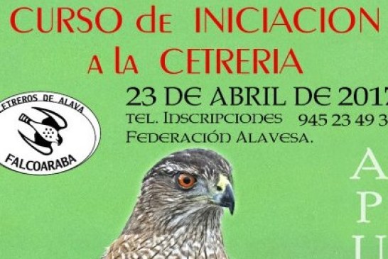 CURSO DE INICIACIÓN A LA CETRERIA