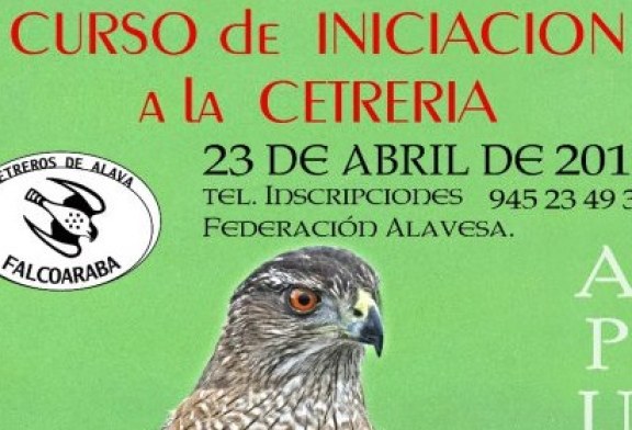 CURSO DE INICIACIÓN A LA CETRERIA