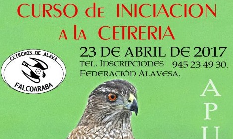 CURSO DE INICIACIÓN A LA CETRERIA