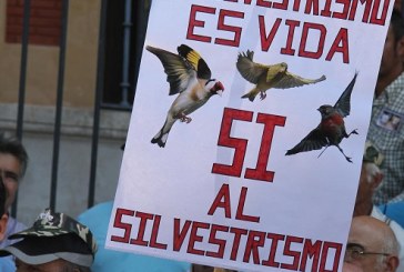 La Plataforma en Defensa del Silvestrismo emprende acciones judiciales en Gipúzkoa para defender la modalidad