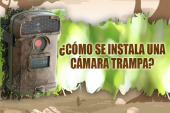 ¿Como se instala una cámara trampa?