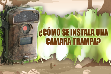 ¿Como se instala una cámara trampa?