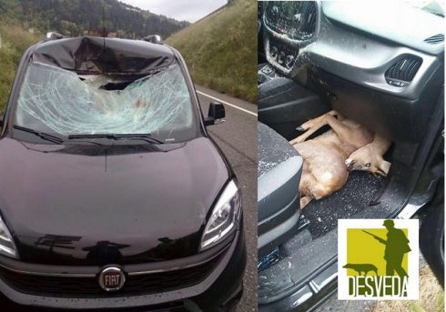 Espectacular accidente de tráfico