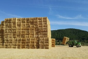 ADECANA informa sobre la recolección del cereal y la recogida de la paja para minimizar su impacto ambiental
