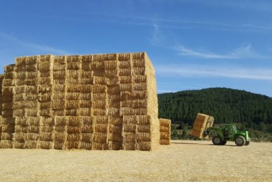 ADECANA informa sobre la recolección del cereal y la recogida de la paja para minimizar su impacto ambiental