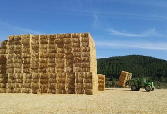 ADECANA informa sobre la recolección del cereal y la recogida de la paja para minimizar su impacto ambiental