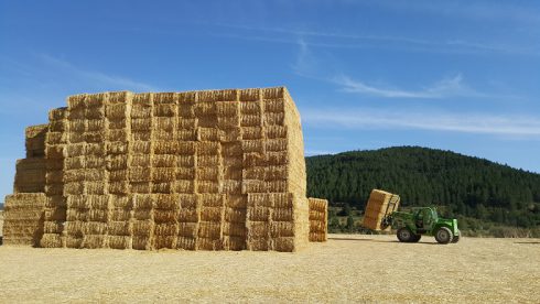 ADECANA informa sobre la recolección del cereal y la recogida de la paja para minimizar su impacto ambiental