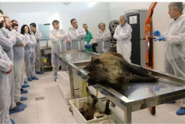 APROCA EDITA UN MANUAL PARA FORMAR A LOS CAZADORES EN LA CONSERVACIÓN DE AVES NECRÓFAGAS