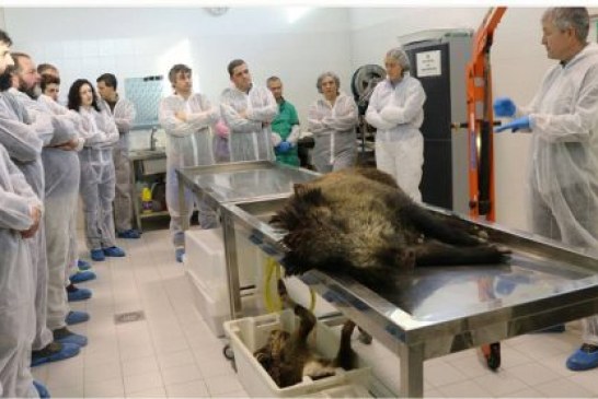 APROCA EDITA UN MANUAL PARA FORMAR A LOS CAZADORES EN LA CONSERVACIÓN DE AVES NECRÓFAGAS