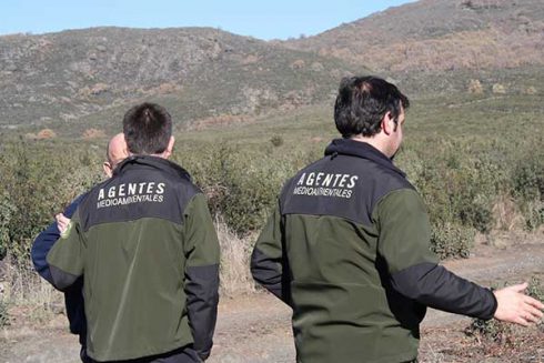 El Gobierno de Navarra destina 303.000 euros para ayudas cinegéticas